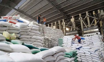Cảnh báo quan trọng về xuất khẩu gạo Việt Nam sang Philippines và Indonesia