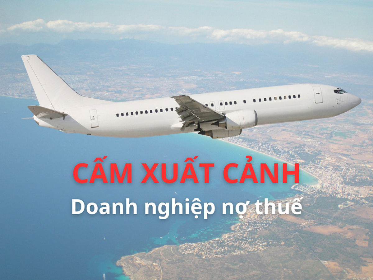 Bình Dương: Giám đốc Công ty Đất Mới bị tạm hoãn xuất cảnh vì nợ thuế