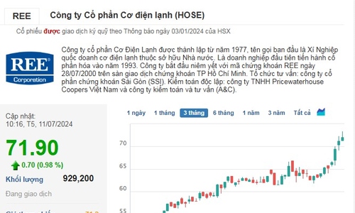 Cổ phiếu công ty đầu tiên niêm yết tại Việt Nam tiến sát đỉnh lịch sử nhờ 'cá mập' Singapore gom mạnh