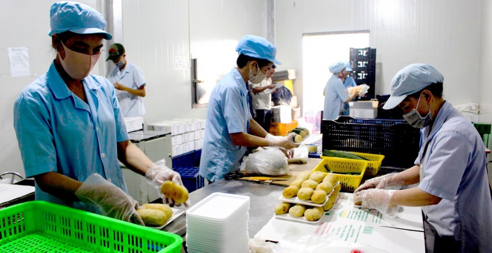 Giảm từ 3-5% thuế thu nhập doanh nghiệp để doanh nghiệp nhỏ và siêu nhỏ lớn lên