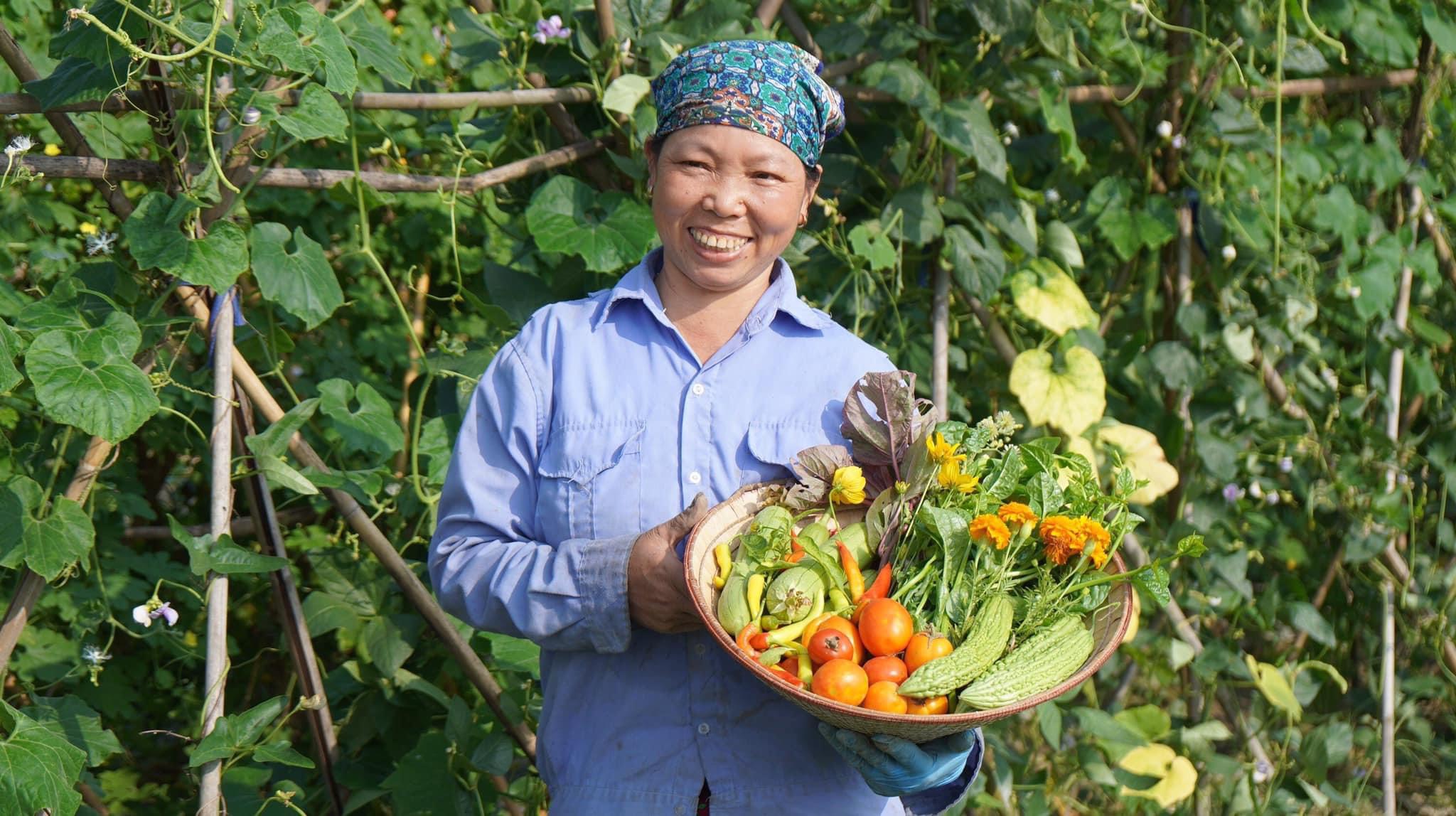 Nghịch lý trong sản xuất nông nghiệp hữu cơ