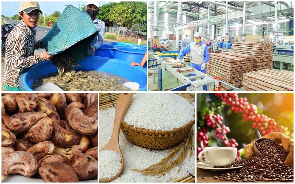 Định vị thương hiệu sản phẩm Việt trên sàn thương mại điện tử