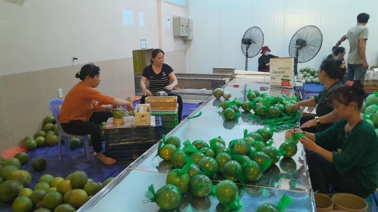 Giúp HTX bứt tốc những tháng cuối năm