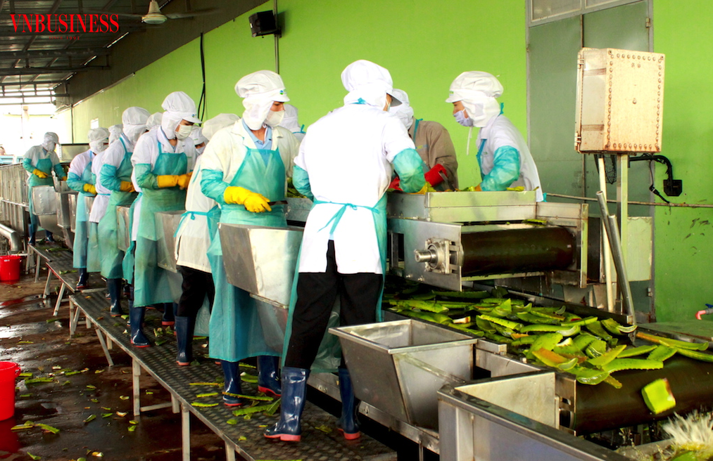 Tìm động lực tăng trưởng cho doanh nghiệp ngành hàng nông sản