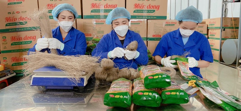 Chưa 'mặn mà' khó trụ vững trên hành trình OCOP?
