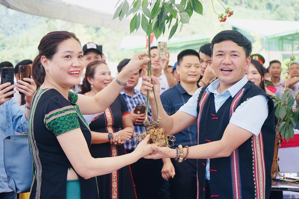 Đấu giá sâm Ngọc Linh, thu về hơn 361 triệu đồng ủng hộ công tác xóa nhà tạm