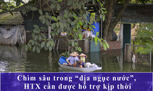 Tài sản chìm sâu trong nước, HTX cần được hỗ trợ kịp thời