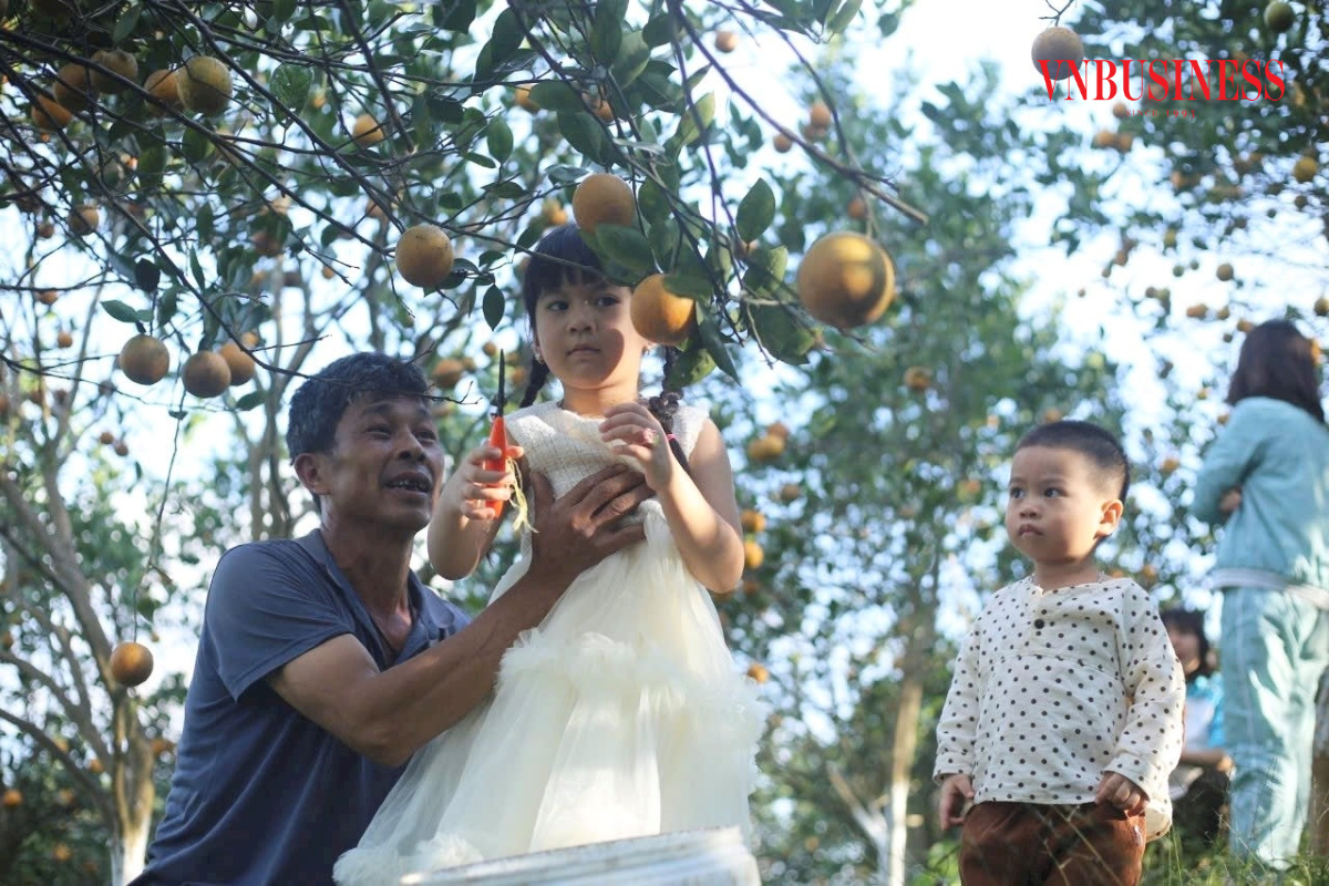 Thiet-ke-chua-co-ten_1723005070.png