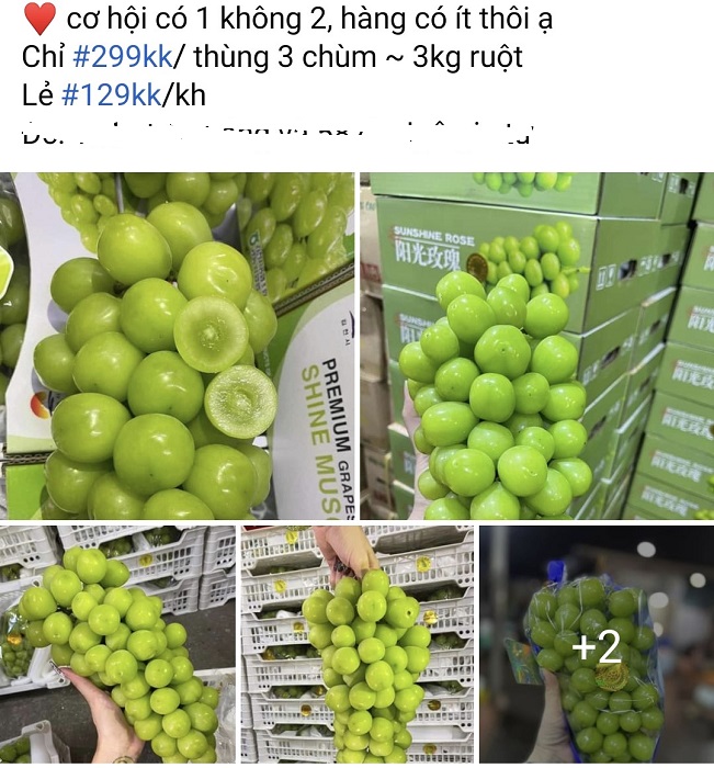 Chỉ vài năm, loại quả nổi tiếng đắt đỏ trên thế giới đã trở thành hàng siêu rẻ