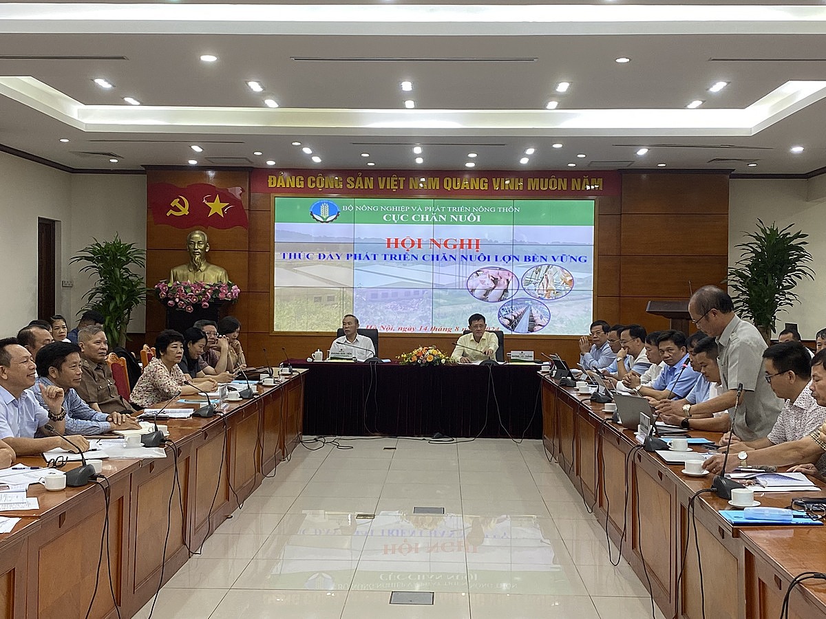 Chăn nuôi lợn vẫn chiếm trên 62% tổng sản lượng thịt hơi xuất chuồng