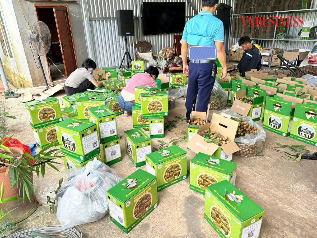 HTX tất bật thu hoạch nông sản phục vụ thị trường rằm tháng Bảy