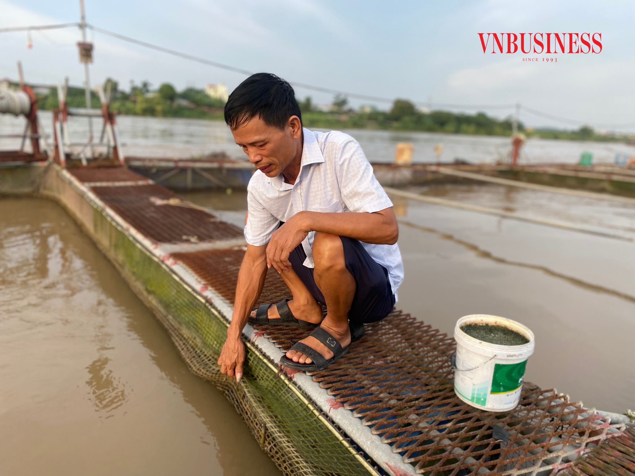 Từ nhân giống đến nuôi cá lồng trên sông Đuống, nông dân Mão Điền bắt đến đâu bán hết veo đến đó