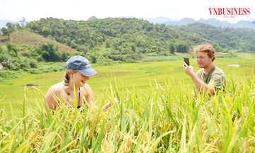 Làm nông nghiệp thông minh hút vạn khách tới thăm quan, nông dân huyện miền núi tỉnh Thanh Hóa đổi đời