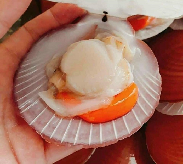 Đặc sản cao cấp có nguồn gốc từ Nhật ồ ạt nhập khẩu vào Việt Nam, giá giảm một nửa