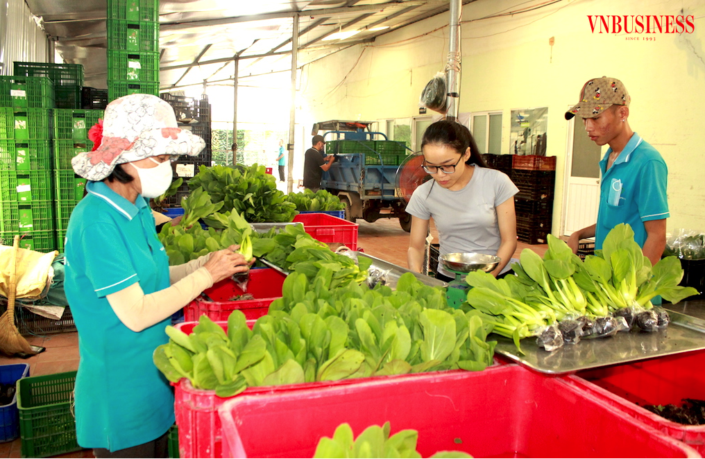 Làm gì để nông sản Việt có được chuỗi giá trị bền vững hơn?