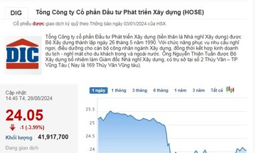 Nhà đầu tư bán mạnh cổ phiếu DIG sau tin Thanh tra Chính phủ công bố loạt sai phạm của DIC Corp