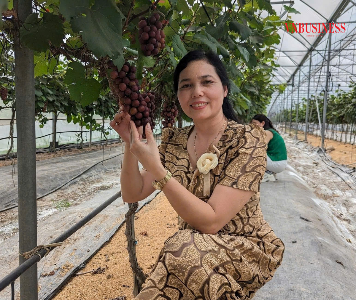 Bất ngờ với 'mê cung trái cây' chất lượng vượt trội, HTX ở Bắc Ninh 'cháy hàng' ngay tại vườn