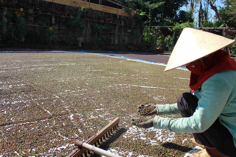 Một loại gia vị Việt có giá tăng dựng đứng, dự báo còn tiếp tục tăng