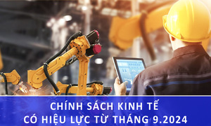 Chính sách về kinh tế có hiệu lực từ tháng 9 năm 2024