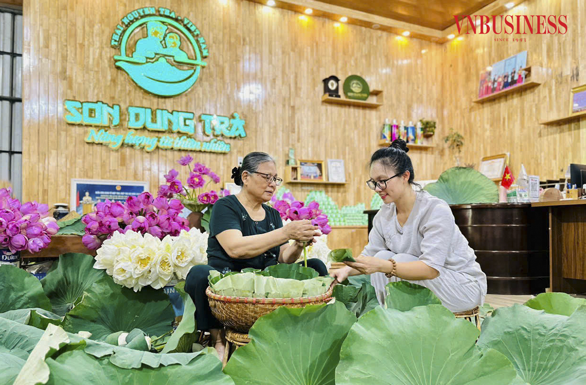 Khát vọng xanh từ xứ trà: 'Tín và Tâm' nâng tầm thương hiệu