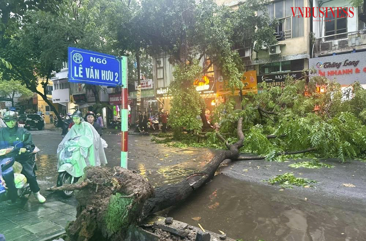 Hà Nội mưa lớn, hàng loạt cây xanh bật gốc, gãy đổ trước khi bão số 3 đổ bộ