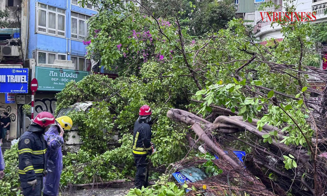 <p>
Tại phố Chả Cá &lpar;phường Hàng Bồ, quận Hoàn Kiếm&rpar; cây lớn bật gốc đè vào mảng tường của nhà dân kế bên.</p>