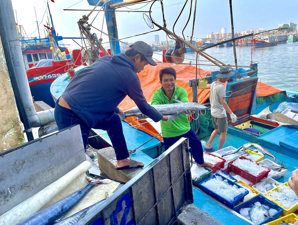 Gỡ thẻ vàng IUU: Còn chần chừ sẽ 'thiệt đơn, thiệt kép'