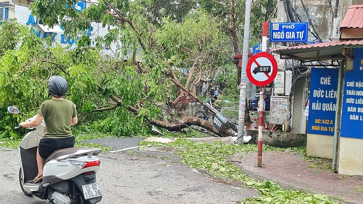 Hải Phòng tan hoang sau khi bão số 3 đổ bộ