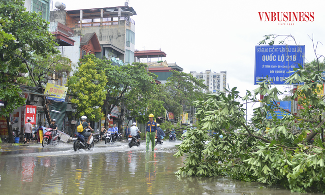 <p>
Tính đến 7h ngày 8/9, trên địa bàn Thành phố có 14.660 cây đổ và cành gãy, trong đó có 14.272 cây đổ. Ngoài ra, cơn bão số 3 cũng gây tình trạng ngập úng cục bộ tại nhiều nơi. </p>