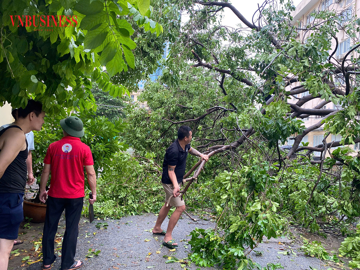 Cảnh báo mưa và dông tại Hà Nội sau siêu bão Yagi, hơn 14.000 ha lúa, rau màu, cây ăn quả bị ảnh hưởng