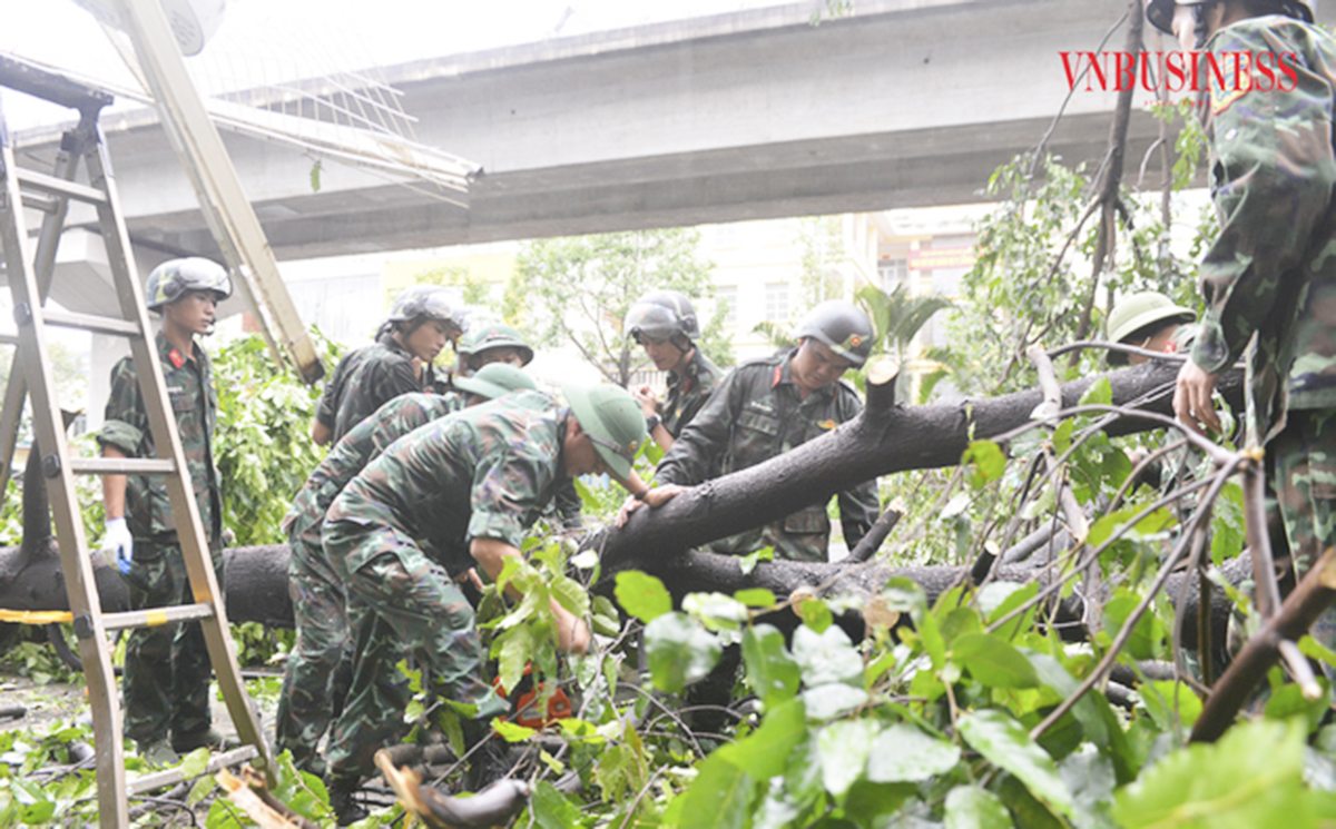Hà Nội tiếp tục ra công điện khắc phục hậu quả sau bão, lên phương án xử lý hơn 24 nghìn cây xanh bị gãy đổ