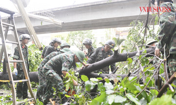 Hà Nội tiếp tục ra công điện khắc phục hậu quả sau bão, lên phương án xử lý hơn 24 nghìn cây xanh bị gãy đổ