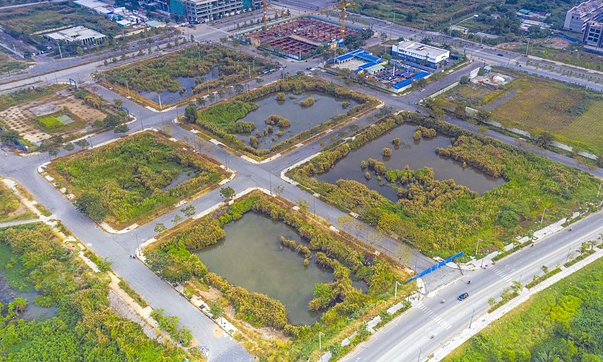 TP. HCM cho đấu giá trước 3 lô 'đất vàng' Thủ Thiêm để rút kinh nghiệm