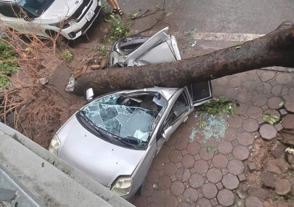 Cây đổ vào ô tô, xe ngập nước do bão Yagi sẽ được bảo hiểm bồi thường như thế nào?