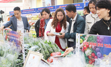 Hà Nội ngăn &#039;thổi giá&#039; hàng hóa, tập trung tìm kiếm cứu nạn, khắc phục hậu quả lũ lụt