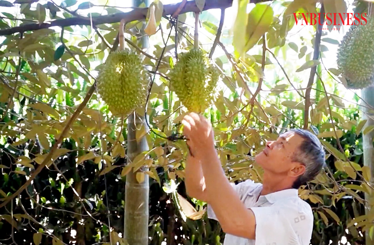 Chuyện làm giàu của những 'tỷ phú chân đất' ở Đồng Nai