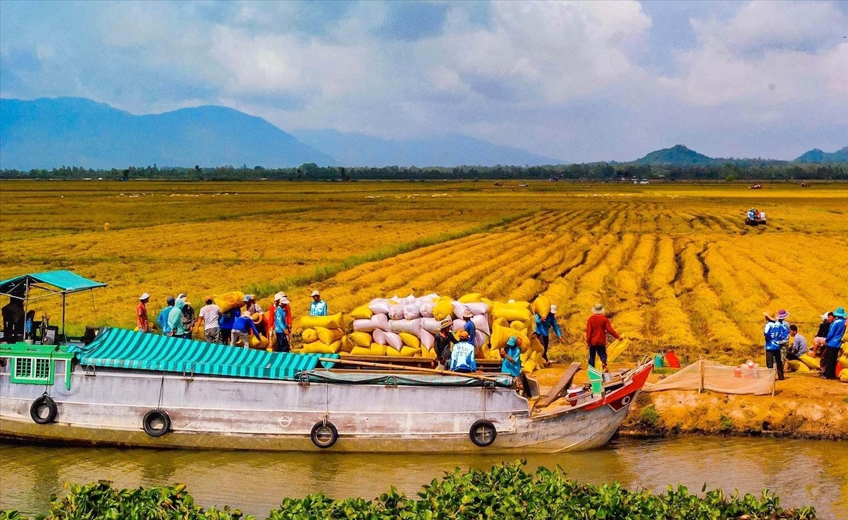 Vì sao Việt Nam chi hơn 840 triệu USD để nhập về một mặt hàng đang xuất khẩu top 3 thế giới?