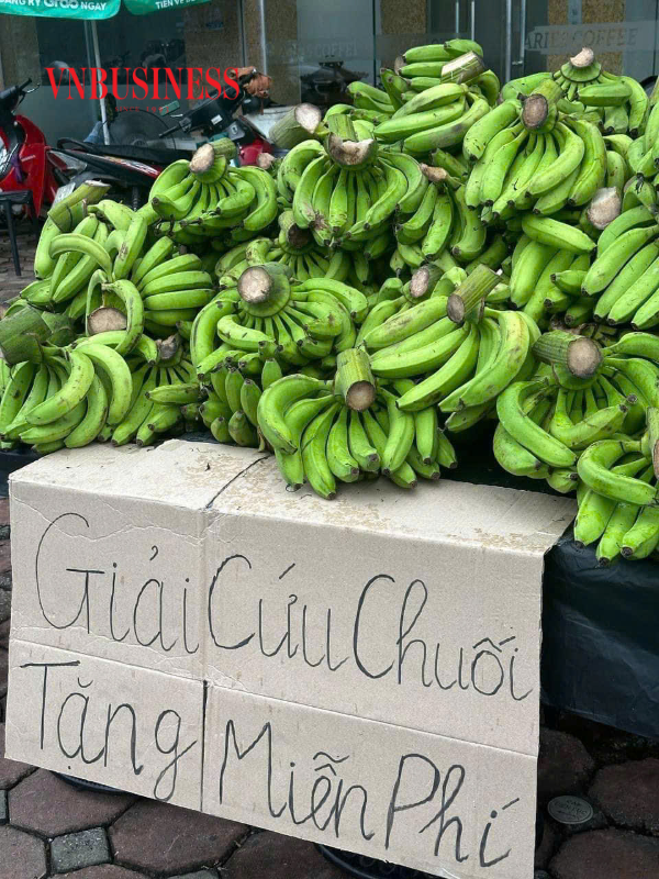 Giải cứu nông sản: 'Liệu pháp tạm thời' cho các HTX nông nghiệp sau thiên tai