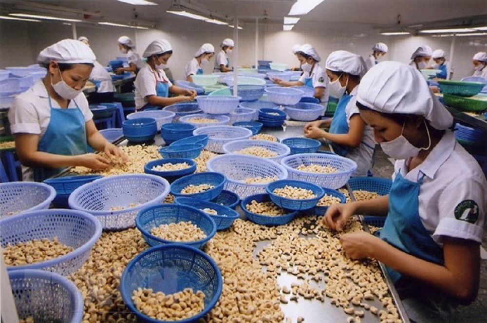 Xuất khẩu nông sản sang Hoa Kỳ: Tiềm năng lớn, vì sao giá trị chưa tương xứng?