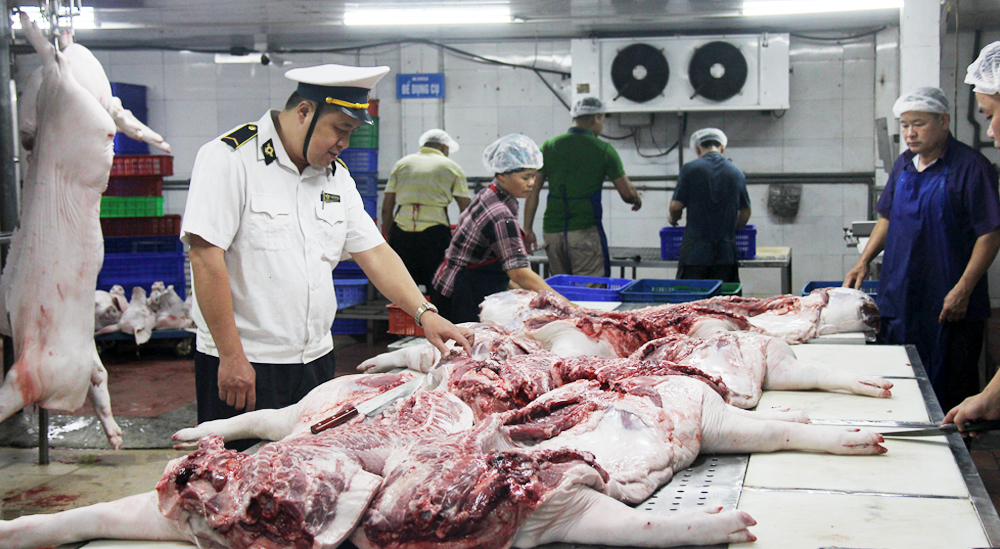 Vì sao HTX chưa mặn mà đầu tư cơ sở giết mổ tập trung?