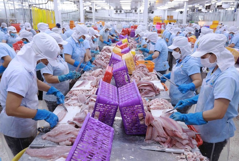Thương vụ Việt Nam tại Pakistan cảnh báo thủ đoạn lừa đảo mới trong buôn bán quốc tế