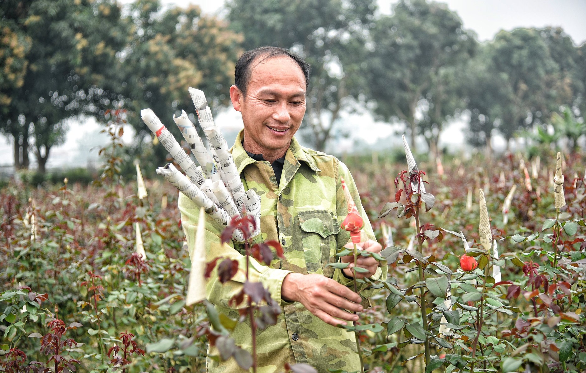 Chính phủ ban hành Nghị định quy định chi tiết một số điều của Luật HTX năm 2023