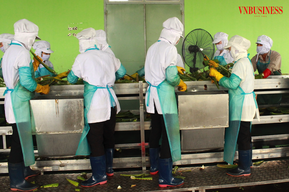 Đầu tư ‘xanh hóa’ sản xuất cho doanh nghiệp: Thêm hỗ trợ, tránh rào cản