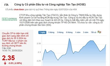 Nhà đầu tư đua nhau bán tháo cổ phiếu của Tân Tạo trước ‘án’ đình chỉ giao dịch gần kề