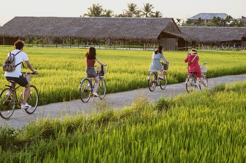 HTX du lịch nông nghiệp tìm cách ứng phó với thiên tai