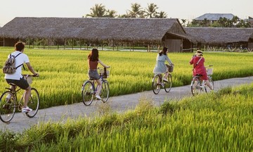 HTX du lịch nông nghiệp tìm cách ứng phó với thiên tai