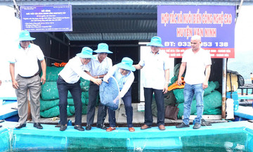 Ra mắt HTX Vạn Ninh: Bước tiến phát triển nghề nuôi biển công nghệ cao ở Khánh Hòa