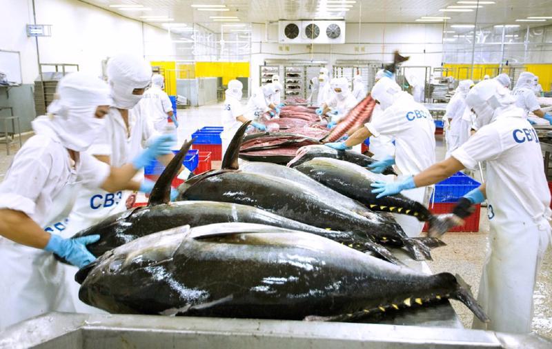 Mỹ tiếp tục là thị trường nhập khẩu lớn nhất cá ngừ đông lạnh của Việt Nam
