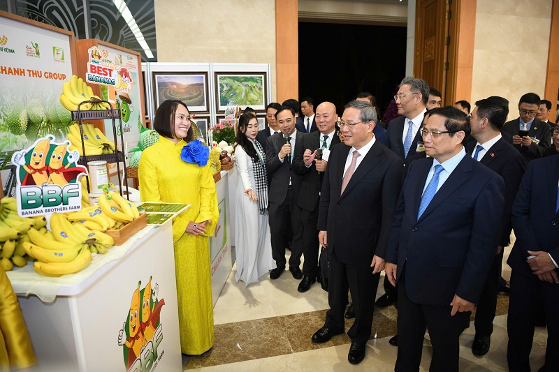 Xuất khẩu trái cây sang Trung Quốc: Doanh nghiệp lo không đủ sức đáp ứng nhu cầu thị trường