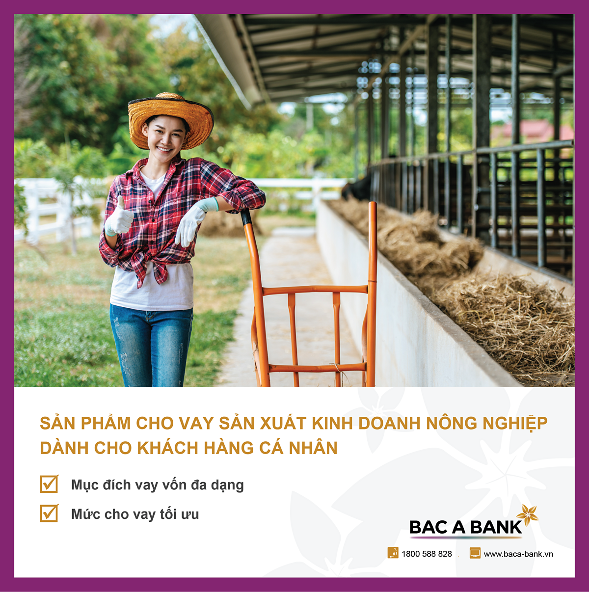 Bac A Bank cho vay phát triển nông nghiệp với hạn mức lên tới 10 tỷ đồng